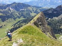 29 July 2017 Dent de Brenleire